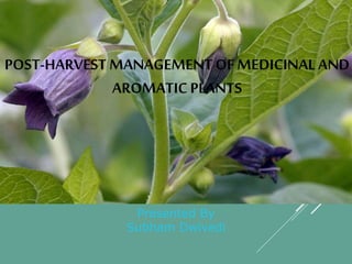 Presented By
Subham Dwivedi
POST-HARVEST MANAGEMENT OF MEDICINAL AND
AROMATIC PLANTS
 