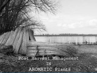 POST-HARVEST MANAGEMENT OF MEDICINAL AND AROMATIC PLANTS | PPTX