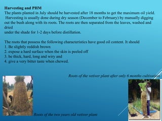 POST-HARVEST MANAGEMENT OF MEDICINAL AND AROMATIC PLANTS | PPTX