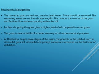 POST-HARVEST MANAGEMENT OF MEDICINAL AND AROMATIC PLANTS | PPTX