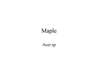 Maple 
Acer sp 
 