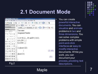 Maple | PDF