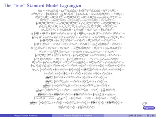 higgstools
The “true” Standard Model Lagrangian
Raquel Gomez Ambrosio Particle Physics in a Nutshell June 13, 2016 31 / 53
 