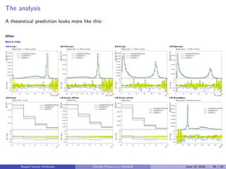 The analysis
A theoretical prediction looks more like this:
Raquel Gomez Ambrosio Particle Physics in a Nutshell June 13, 2016 44 / 53
 