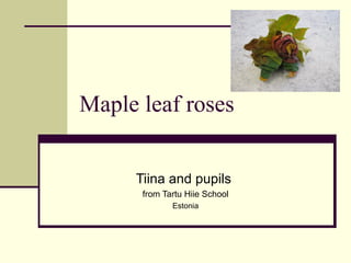 Maple leaf roses Tiina and pupils  from Tartu Hiie School Estonia 