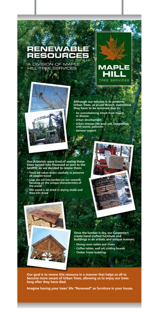 RENEWABLE
RESOURCES
A DIVISION OF MAPLE
HILL TREE SERVICES




                                      Although our mission is to preserve
                                      Urban Trees, as a Last Resort, sometimes
                                      they have to be removed due to:
                                      •   An overwhelming attack from insects
                                          or disease
                                      •   Urban development
                                      •   Urban stresses like poor soil, competition
                                          with lawns, pollution
                                      •   General neglect




Our Arborists were tired of seeing these
trees turned into firewood or sent to the
landfill, so we decided to renew them:
•   Trees are taken down carefully to preserve
    all useable wood
•   Logs are cut into lumber on our sawmill,
    focusing on the unique characteristics of
    the wood
•   The wood is air dried in drying sheds and
    then kiln dried




                                      Once the lumber is dry, our Carpenters
                                      create hand crafted furniture and
                                      buildings in an artistic and unique manner:
                                      •   Dining room tables and chairs
                                      •   Coffee tables, wall art, cutting boards
                                      •   Timber frame buildings




Our goal is to renew this resource in a manner that helps us all to
become more aware of Urban Trees, allowing us to enjoy our trees
long after they have died.
Imagine having your trees’ life “Renewed” as furniture in your house.
 