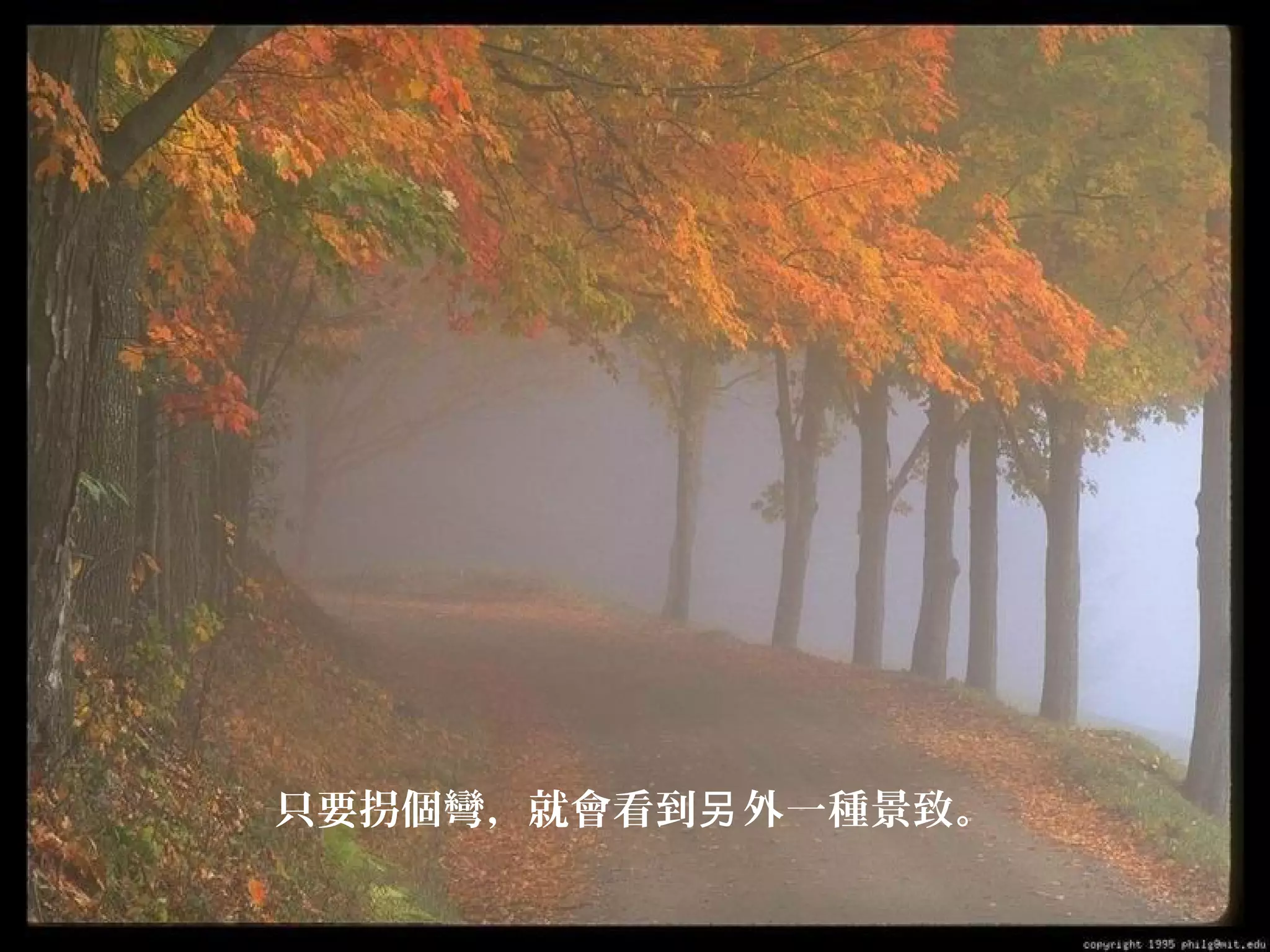 只要拐個彎，就會看到另 外一種景致。

 