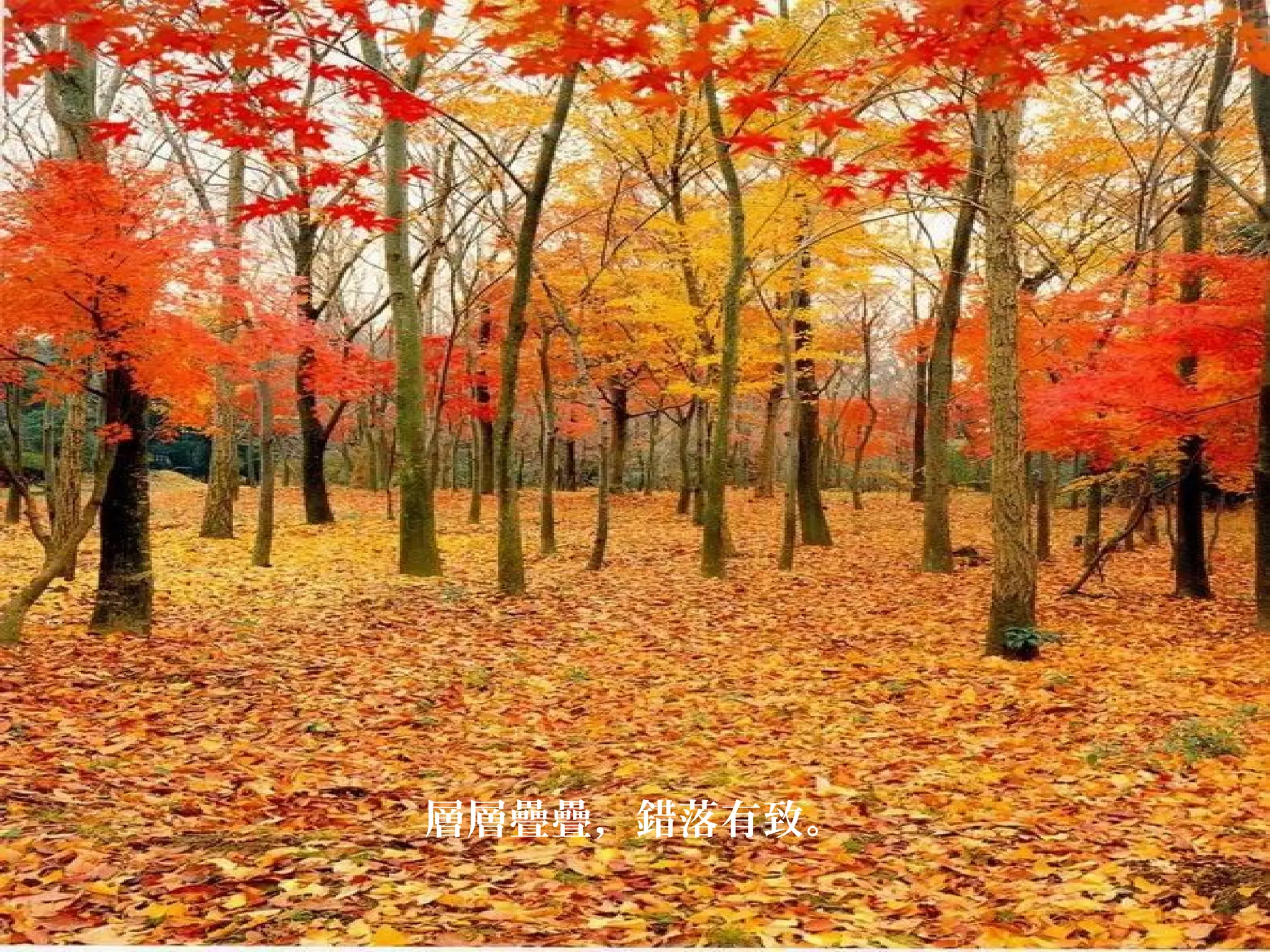 層層疊疊，錯落有致。

 