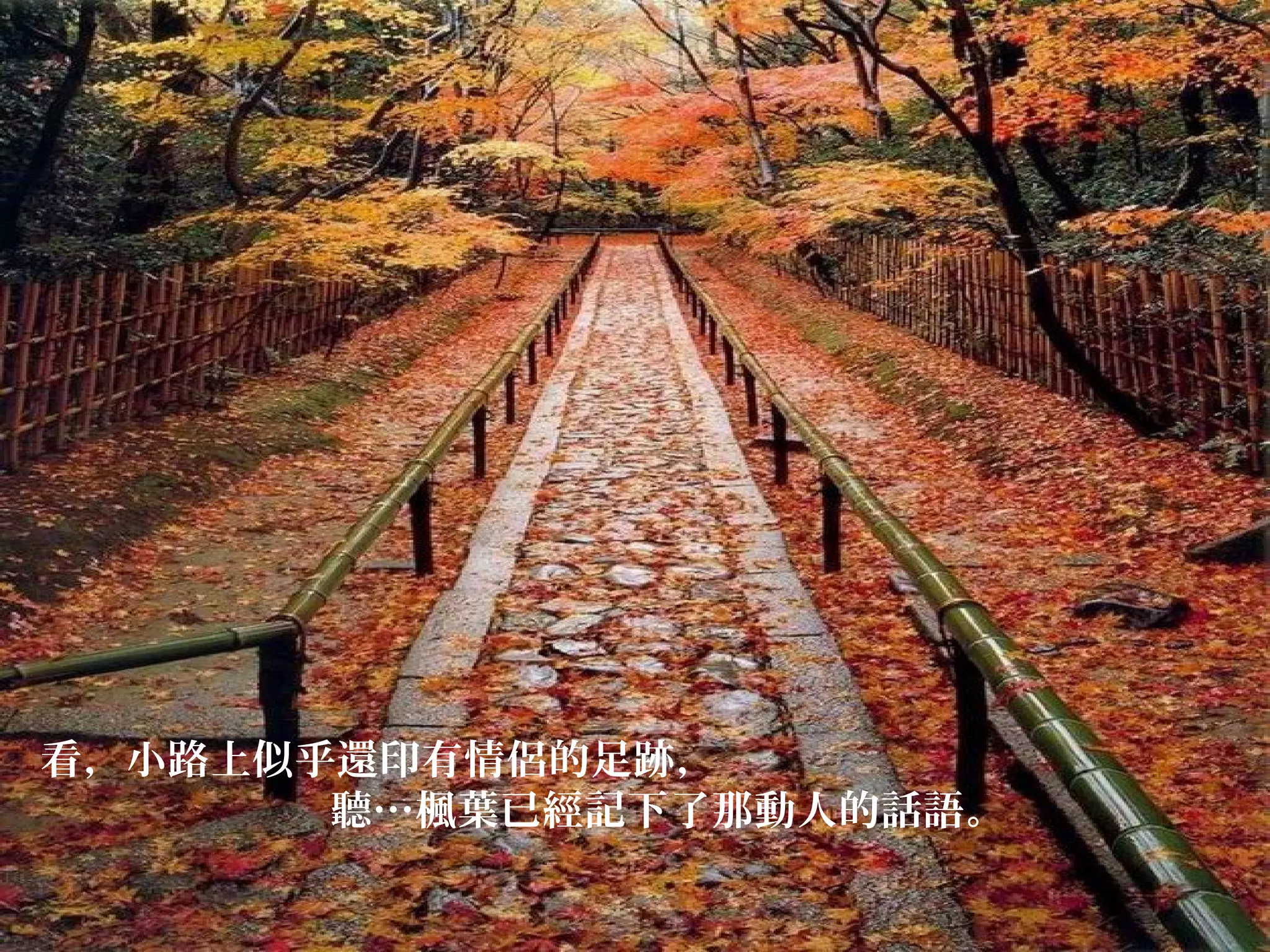 看，小路上似乎還印有情侶的足跡，
聽…楓葉已經記下了那動人的話語。

 