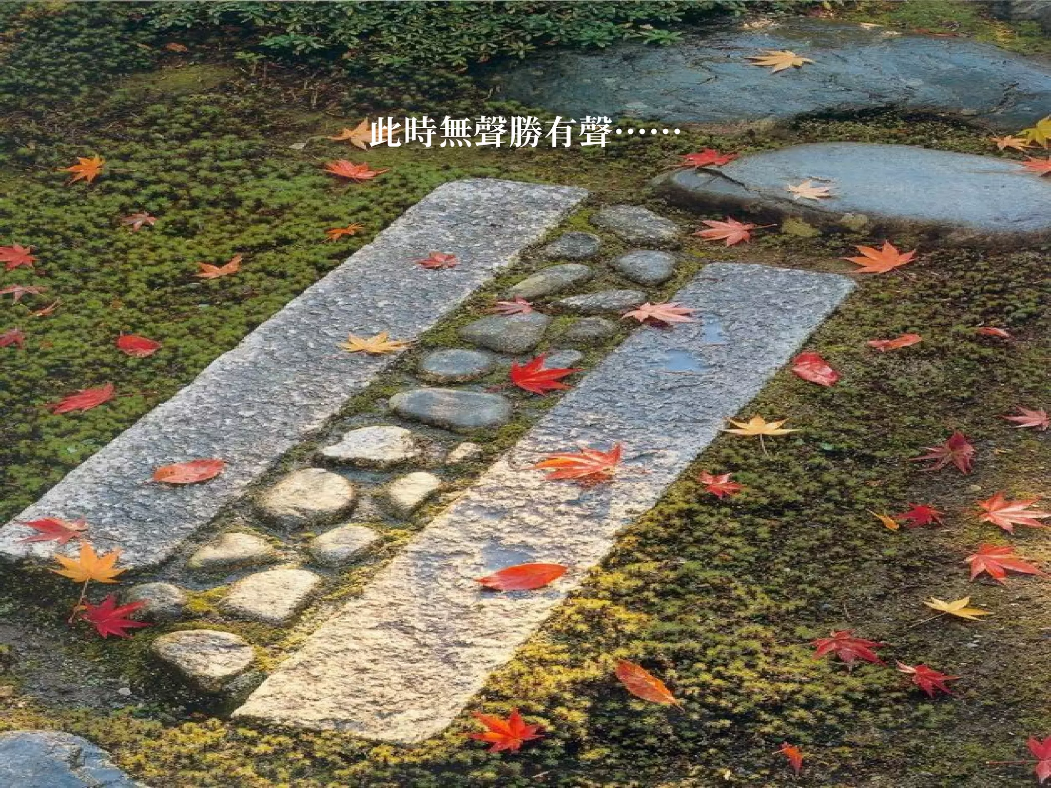 此時無聲勝有聲……

 