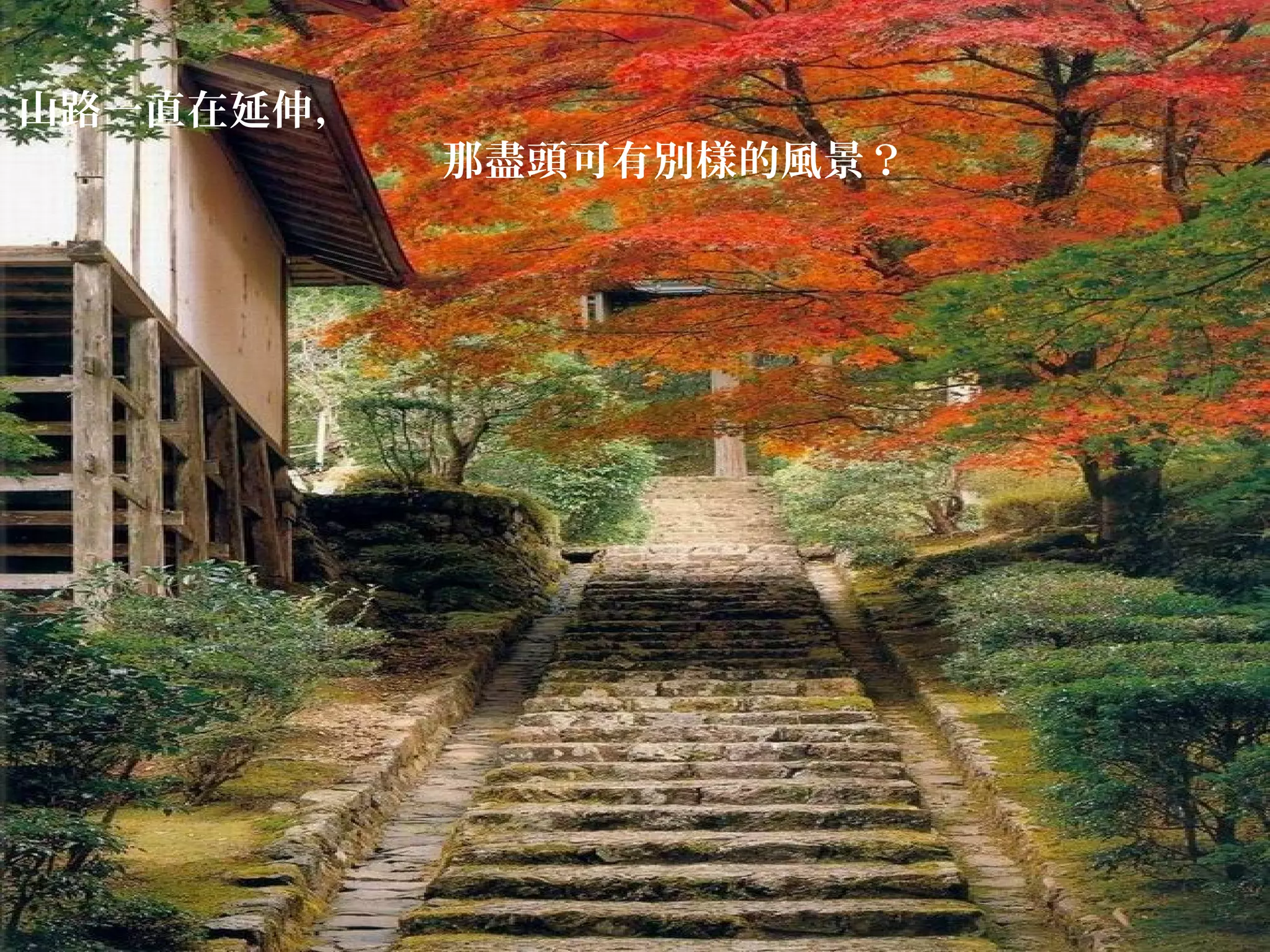 山路一直在延伸，

那盡頭可有別樣的風景？

 