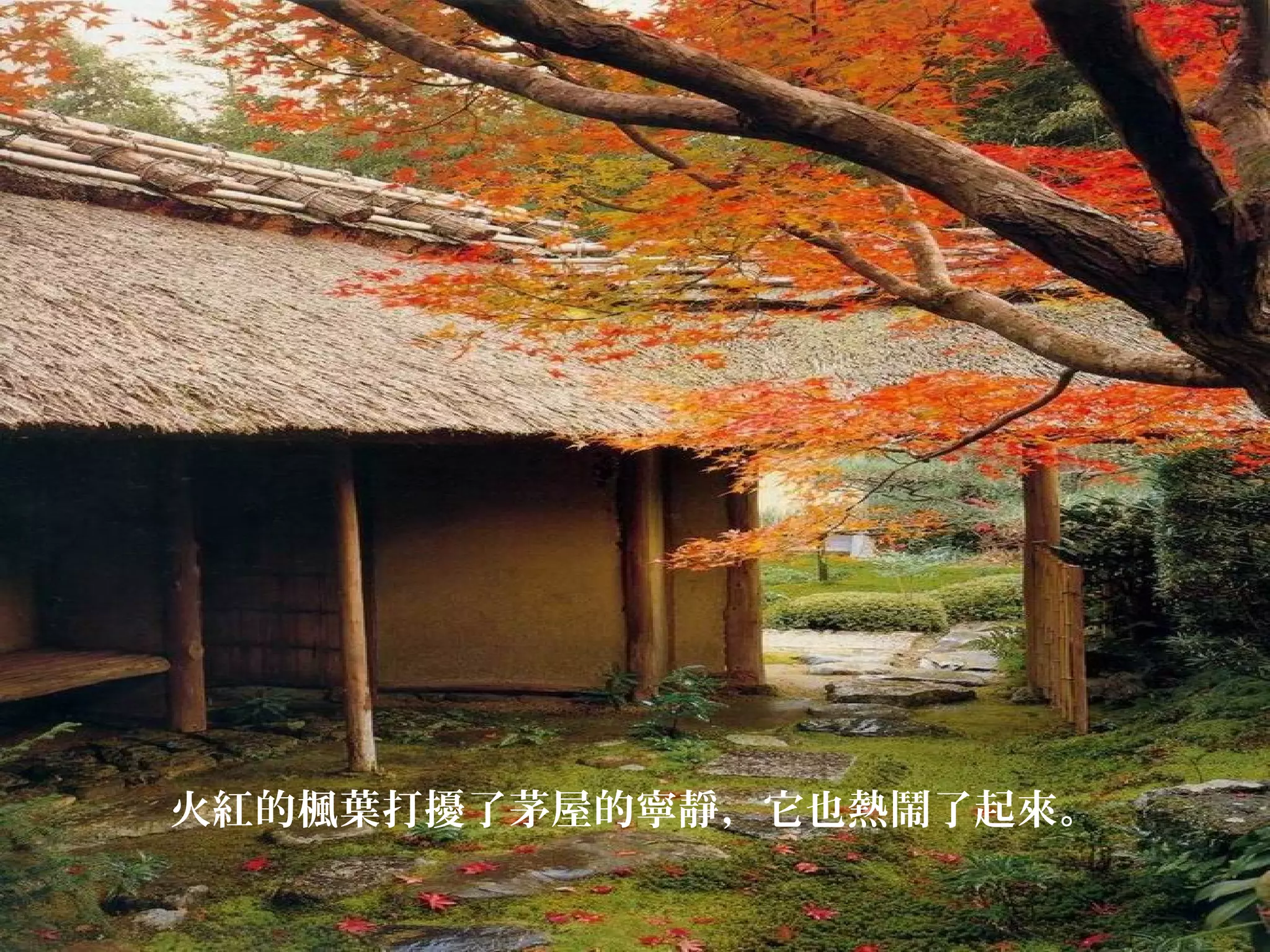 火紅的楓葉打擾了茅屋的寧靜，它也熱鬧了起來。

 