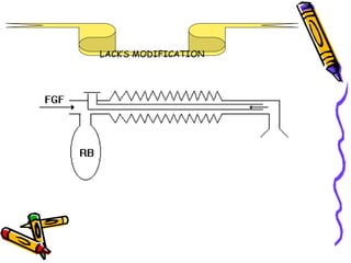 LACK’S MODIFICATION 
