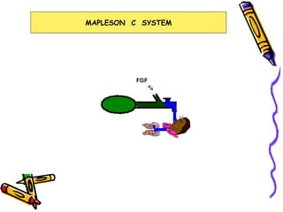 MAPLESON  C  SYSTEM 