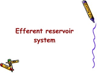 Efferent reservoir system 