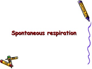 Spontaneous respiration 