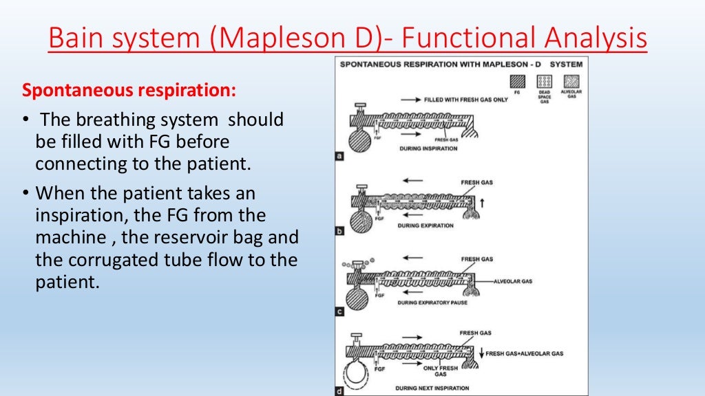 Mapleson breathing systems