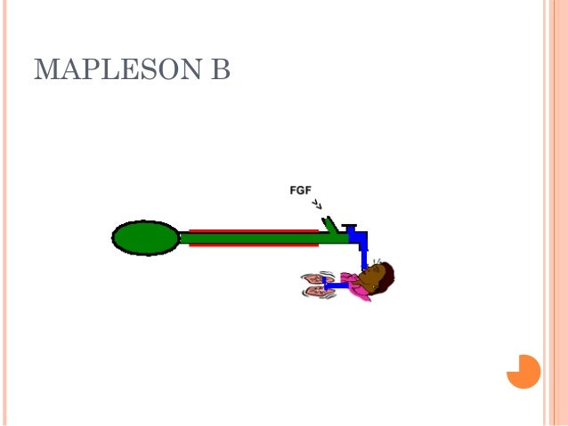 Mapleson circuits