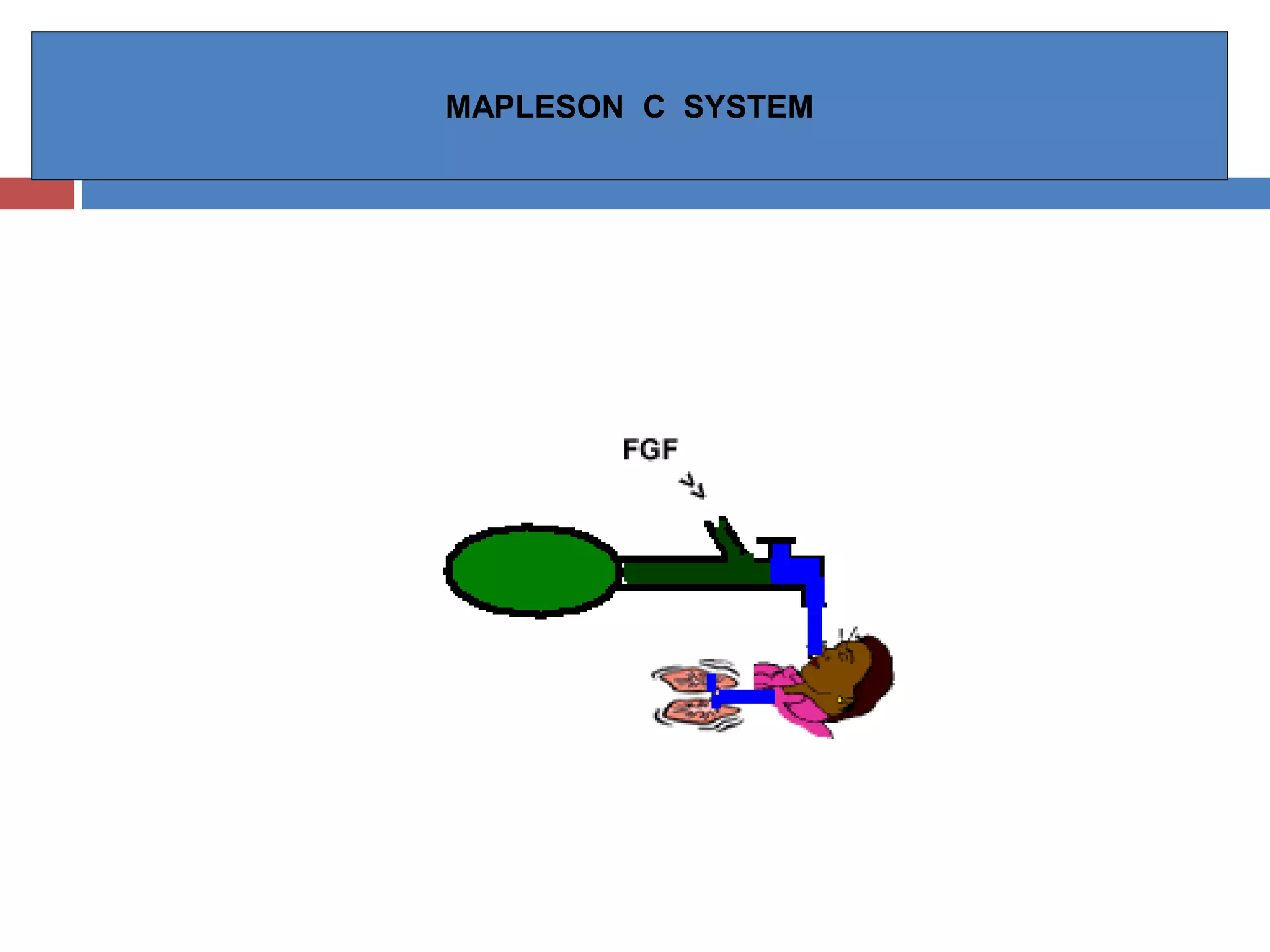 MAPLESON C SYSTEM
 