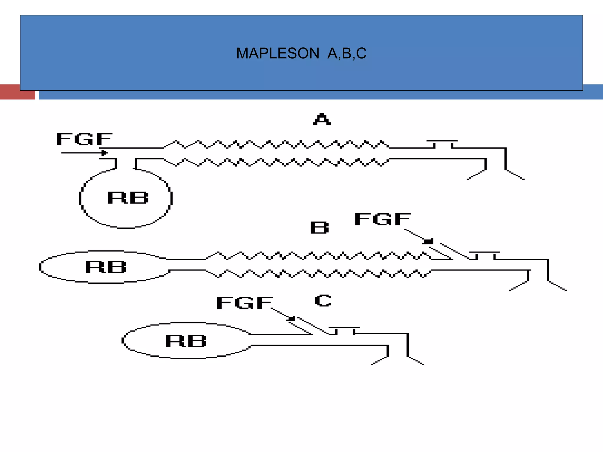 MAPLESON A,B,C
 