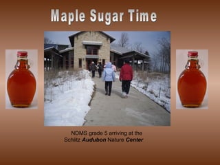 NDMS grade 5 arriving at the Schlitz  Audubon  Nature  Center Maple Sugar Time 
