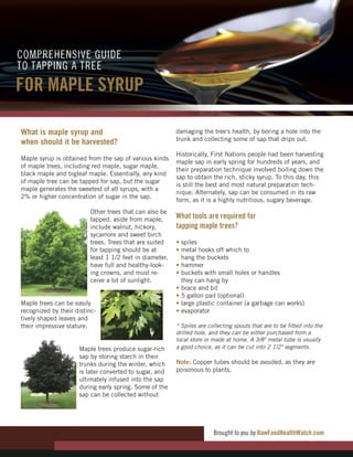 What is maple syrup and                                  damaging the tree's health, by boring a hole into the
                                                         trunk and collecting some of sap that drips out.
when should it be harvested?
                                                         Historically, First Nations people had been harvesting
Maple syrup is obtained from the sap of various kinds
                                                         maple sap in early spring for hundreds of years, and
of maple trees, including red maple, sugar maple,
                                                         their preparation technique involved boiling down the
black maple and bigleaf maple. Essentially, any kind
                                                         sap to obtain the rich, sticky syrup. To this day, this
of maple tree can be tapped for sap, but the sugar
                                                         is still the best and most natural preparation tech-
maple generates the sweetest of all syrups, with a
                                                         nique. Alternately, sap can be consumed in its raw
2% or higher concentration of sugar in the sap.
                                                         form, as it is a highly nutritious, sugary beverage.
                         Other trees that can also be
                         tapped, aside from maple,       What tools are required for
                         include walnut, hickory,        tapping maple trees?
                         sycamore and sweet birch
                         trees. Trees that are suited    • spiles
                         for tapping should be at        • metal hooks off which to
                         least 1 1/2 feet in diameter,     hang the buckets
                         have full and healthy-look-     • hammer
                         ing crowns, and must re-        • buckets with small holes or handles
                         ceive a lot of sunlight.          they can hang by
                                                         • brace and bit
                                                         • 5 gallon pail (optional)
Maple trees can be easily                                • large plastic container (a garbage can works)
recognized by their distinc-                             • evaporator
tively shaped leaves and
their impressive stature.                                * Spiles are collecting spouts that are to be fitted into the
                                                         drilled hole, and they can be either purchased from a
                                                         local store or made at home. A 3/8" metal tube is usually
                     Maple trees produce sugar-rich      a good choice, as it can be cut into 2 1/2" segments.
                     sap by storing starch in their
                     trunks during the winter, which     Note: Copper tubes should be avoided, as they are
                     is later converted to sugar, and    poisonous to plants.
                     ultimately infused into the sap
                     during early spring. Some of the
                     sap can be collected without




                                                                        Brought to you by RawFoodHealthWatch.com
 
