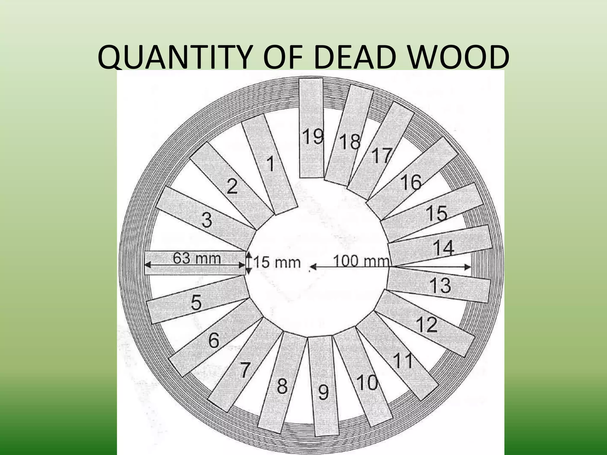 QUANTITY OF DEAD WOOD

 