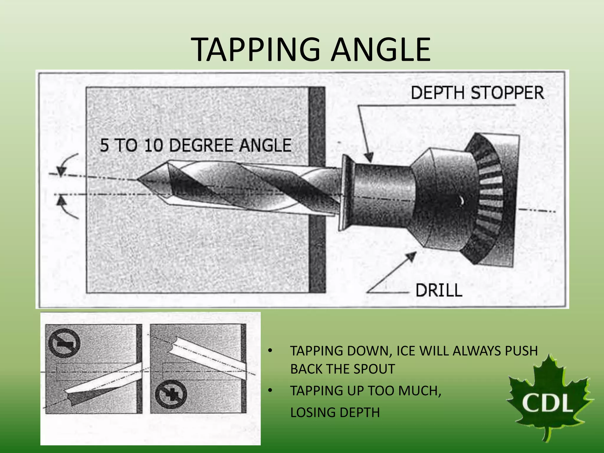 TAPPING ANGLE

•
•

TAPPING DOWN, ICE WILL ALWAYS PUSH
BACK THE SPOUT
TAPPING UP TOO MUCH,
LOSING DEPTH

 
