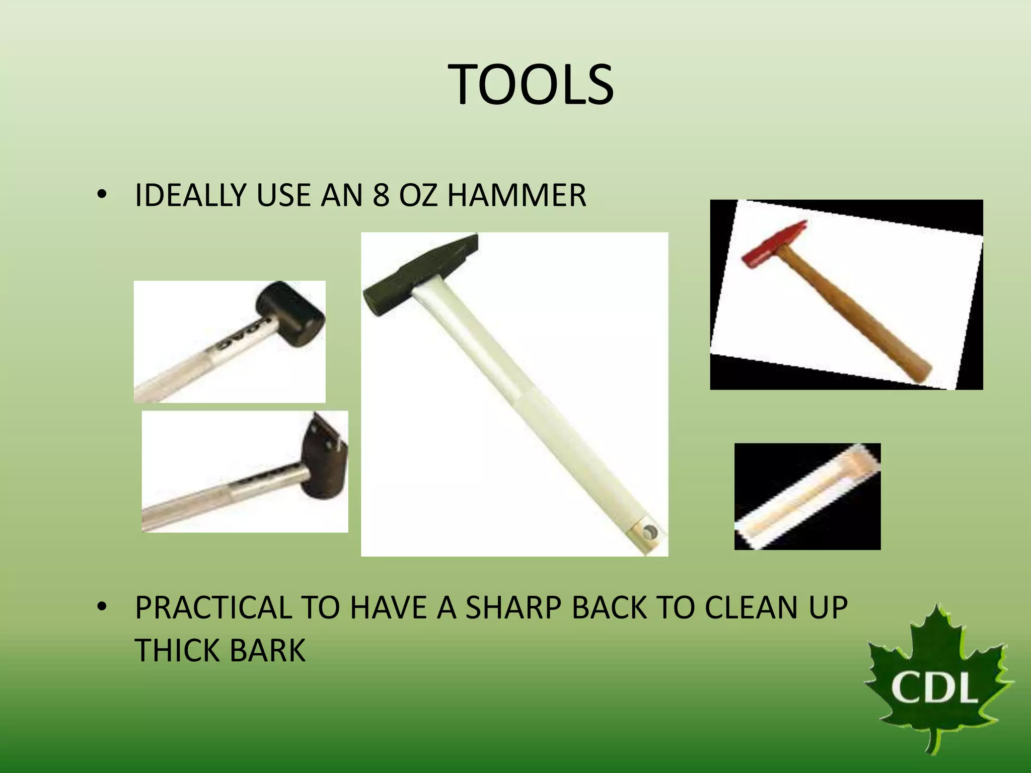 TOOLS
• IDEALLY USE AN 8 OZ HAMMER

• PRACTICAL TO HAVE A SHARP BACK TO CLEAN UP
THICK BARK

 