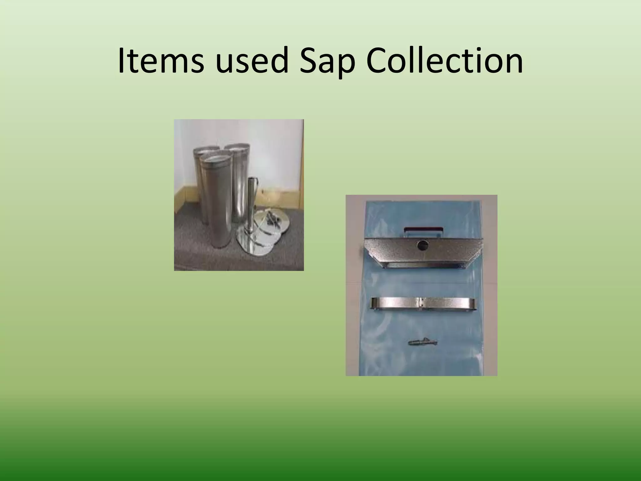 Items used Sap Collection

 