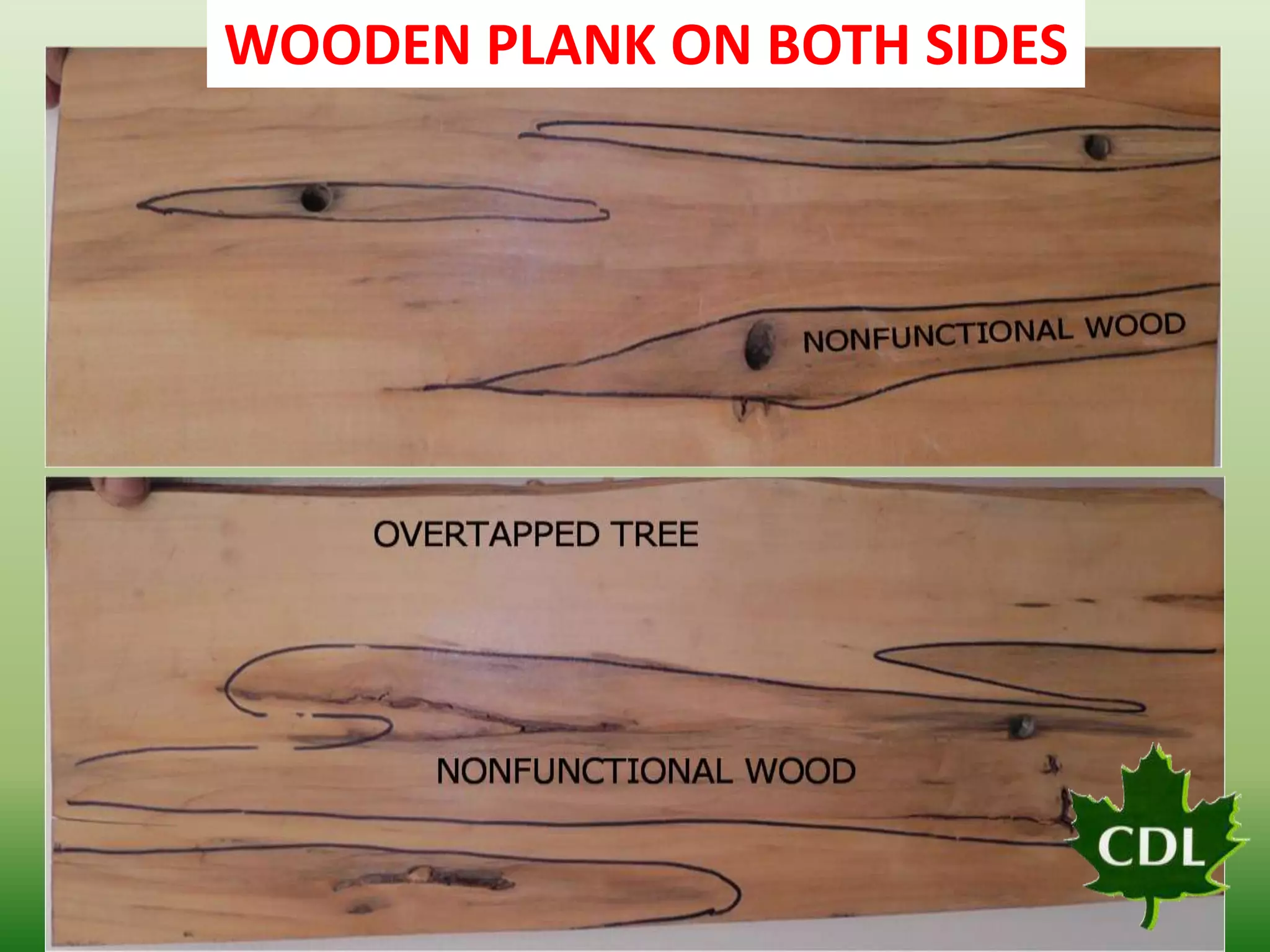 WOODEN PLANK ON BOTH SIDES

 