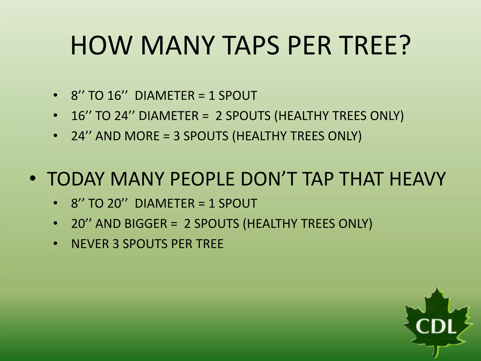 HOW MANY TAPS PER TREE?
• 8’’ TO 16’’ DIAMETER = 1 SPOUT
• 16’’ TO 24’’ DIAMETER = 2 SPOUTS (HEALTHY TREES ONLY)
• 24’’ AND MORE = 3 SPOUTS (HEALTHY TREES ONLY)

• TODAY MANY PEOPLE DON’T TAP THAT HEAVY
• 8’’ TO 20’’ DIAMETER = 1 SPOUT
• 20’’ AND BIGGER = 2 SPOUTS (HEALTHY TREES ONLY)
• NEVER 3 SPOUTS PER TREE

 