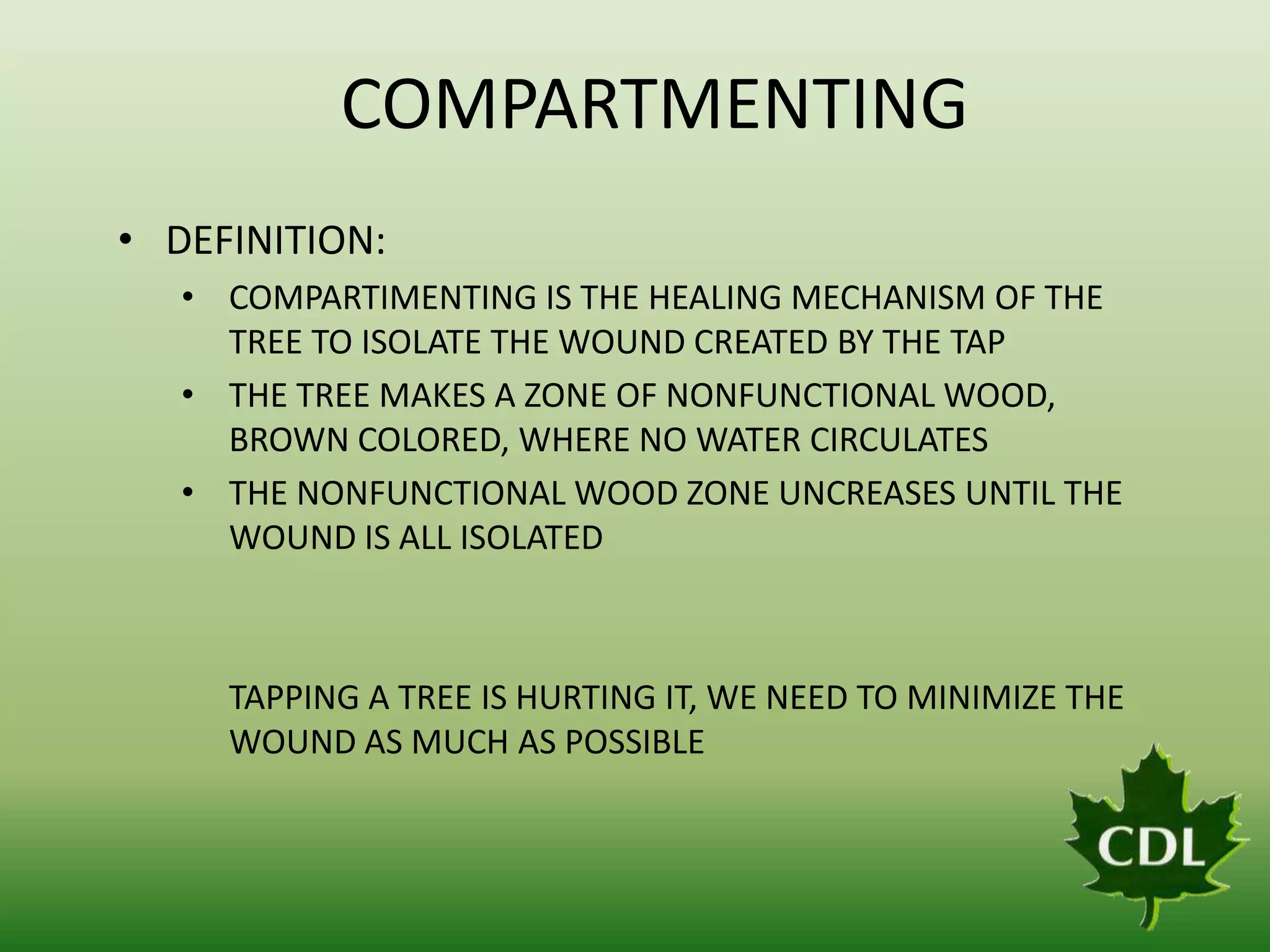 COMPARTMENTING
• DEFINITION:
• COMPARTIMENTING IS THE HEALING MECHANISM OF THE
TREE TO ISOLATE THE WOUND CREATED BY THE TAP
• THE TREE MAKES A ZONE OF NONFUNCTIONAL WOOD,
BROWN COLORED, WHERE NO WATER CIRCULATES
• THE NONFUNCTIONAL WOOD ZONE UNCREASES UNTIL THE
WOUND IS ALL ISOLATED

TAPPING A TREE IS HURTING IT, WE NEED TO MINIMIZE THE
WOUND AS MUCH AS POSSIBLE

 