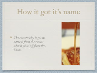 How it got it’s name


The reason why it got its
name is !om the sweet
odor it gives oﬀ !om the
Urine.
 