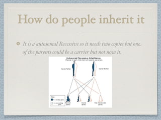 How do people inherit it
It is a autosomal Recessive so it needs two copies but one
of the parents could be a carrier but not now it.
 