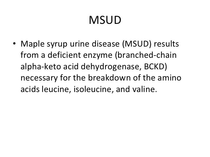 maple syrup urine disease research paper Maple syrup urine disease (msud) is an aminoacidopathy secondary to an enzyme defect in the catabolic pathway of the branched-chain amino acids leucine, isoleucine, and valine accumulation of these 3 amino acids and their corresponding keto acids leads to encephalopathy and progressive neurodegeneration in untreated infants. maple syrup urine disease research paper Maple syrup urine disease (msud) is an aminoacidopathy secondary to an enzyme defect in the catabolic pathway of the branched-chain amino acids leucine, isoleucine, and valine accumulation of these 3 amino acids and their corresponding keto acids leads to encephalopathy and progressive neurodegeneration in untreated infants.