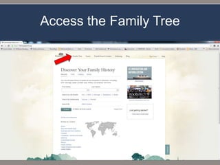 Access the Family Tree
 