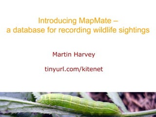 Introducing MapMate – a database for recording wildlife sightings Martin Harvey tinyurl.com/kitenet 