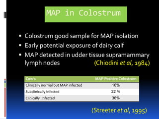 Potential Human Exposure to MAP