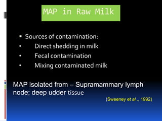 Presence of MAP in Milk & Milk ProductsMAP has been detected in the following :ColostrumRaw MilkPasteurized MilkPowdered MilkCheeseGoat and Sheep Milk