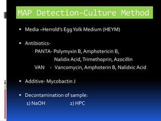 Baby food contamination - 51 different samples, from 7 European countries were examined in which 25 (49.0%) samples were found positive.		(Hruskaet al, 2005)MAP in cheeseMAP has been detected from market cheese(Clark et al,2006)Sub pasteurization temp treatment of milk for cheese production insufficient for MAP inactivation                                (Pearce et al,2001)