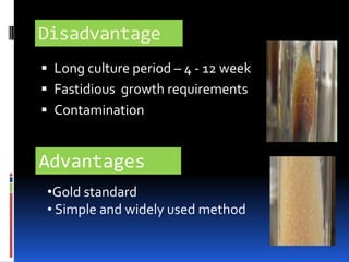 Occurrence of MAP in Cheese by PCR      		Greece     50 %     		CZ              12 %     		USA           5   %	(Ayeleet al, 2004)