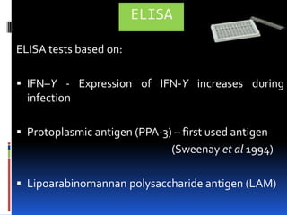 Processing of Dairy ProductsNaCl has little or no effect in cheeseLow pH significantly contribute MAP inactivationRipening of cheese significantly lower MAPTemp and low pH – most important factor in MAP inactivation during ripening Persistence of MAP in cheese             High conc. of MAP in raw milk             Short ripening period(Spahr and Schafroth, 2001)