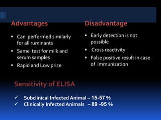 MAP in Retail Dairy Products