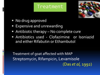 MAP in Raw Meat ProductMAP isolated from GI tract and other organs of  culled dairy animals. (Antognoliet al, 2008)Meat contaminated with MAP by 	Dissemination of pathogen in tissue