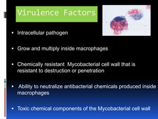 Virulence FactorsIntracellular pathogenGrow and multiply inside macrophagesChemically resistant  Mycobacterial cell wall that is resistant to destruction or penetration Ability to neutralize antibacterial chemicals produced inside macrophagesToxic chemical components of the Mycobacterial cell wall