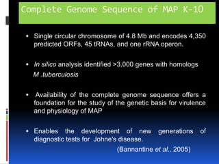 Complete Genome Sequence of MAP K-10Single circular chromosome of 4.8 Mb and encodes 4,350 predicted ORFs, 45 tRNAs, and one rRNA operon.