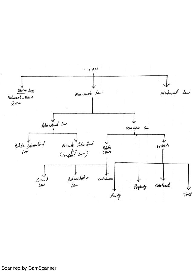 Map of branches of law