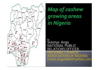 By
Sotonye Anga
NATIONAL PUBLIC
RELATIONS OFFICER,
NATIONAL CASHEW
ASSOCIATION OF NIGERIA
Email:anga4000@yahoo.com
 