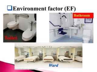 Toilet
Bathroom
Ward
 
